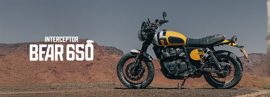 Bear 650